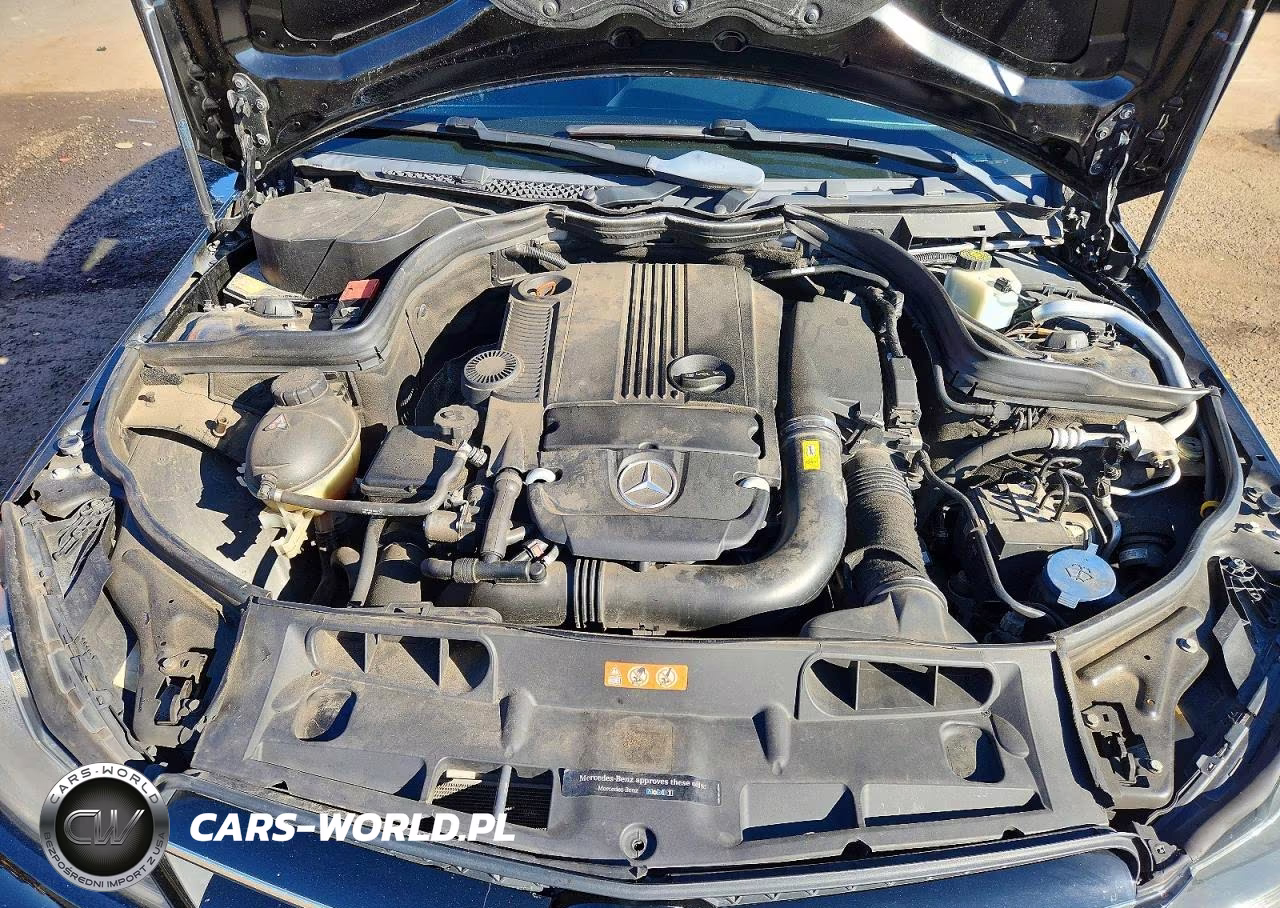 2015 Mercedes-Benz C 250 VIN:WDDGJ4HB5FG387174 - 11