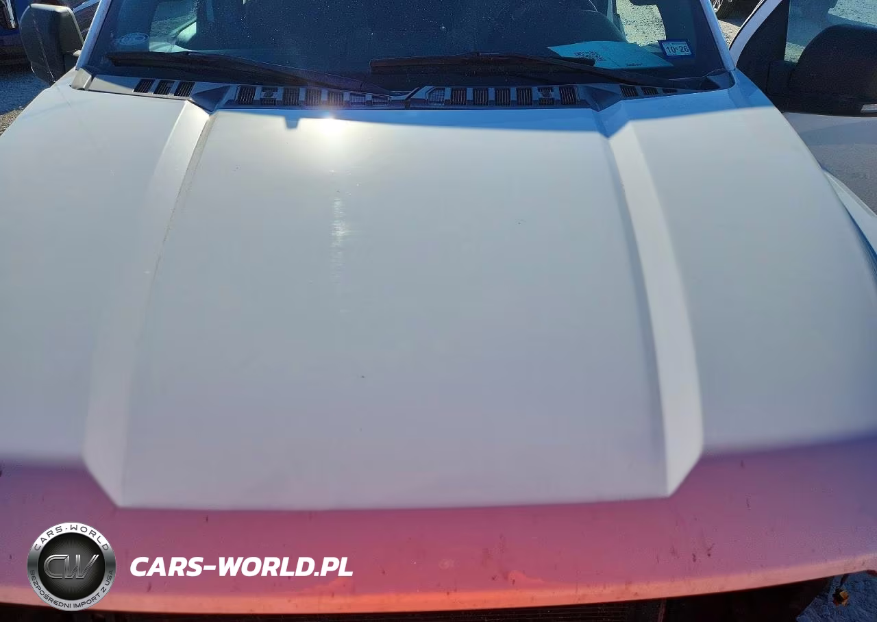 2019 Ford F150 Supercrew VIN:1FTEW1C57KKD43929 - 11