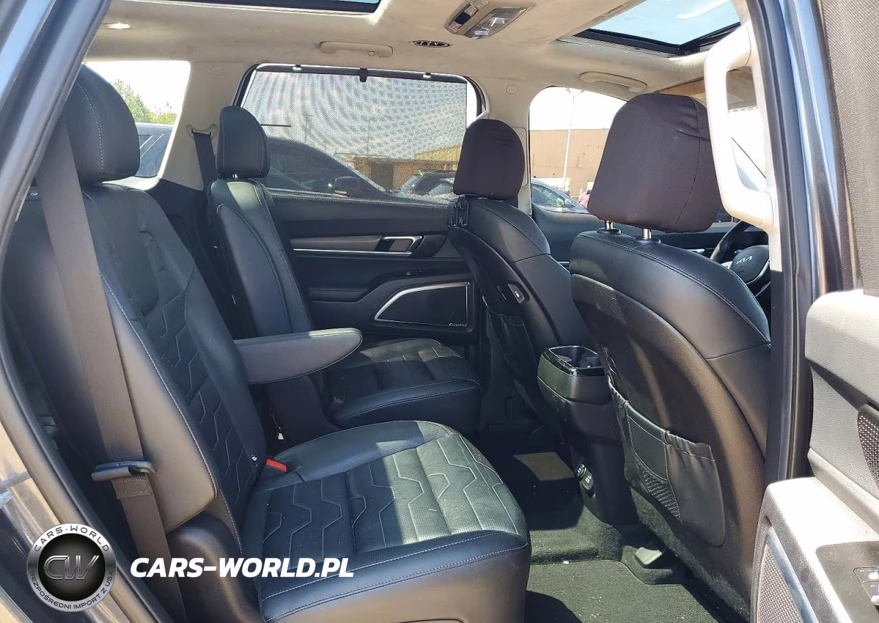 2022 Kia Telluride Sx VIN:5XYP5DHC0NG316506 - 11