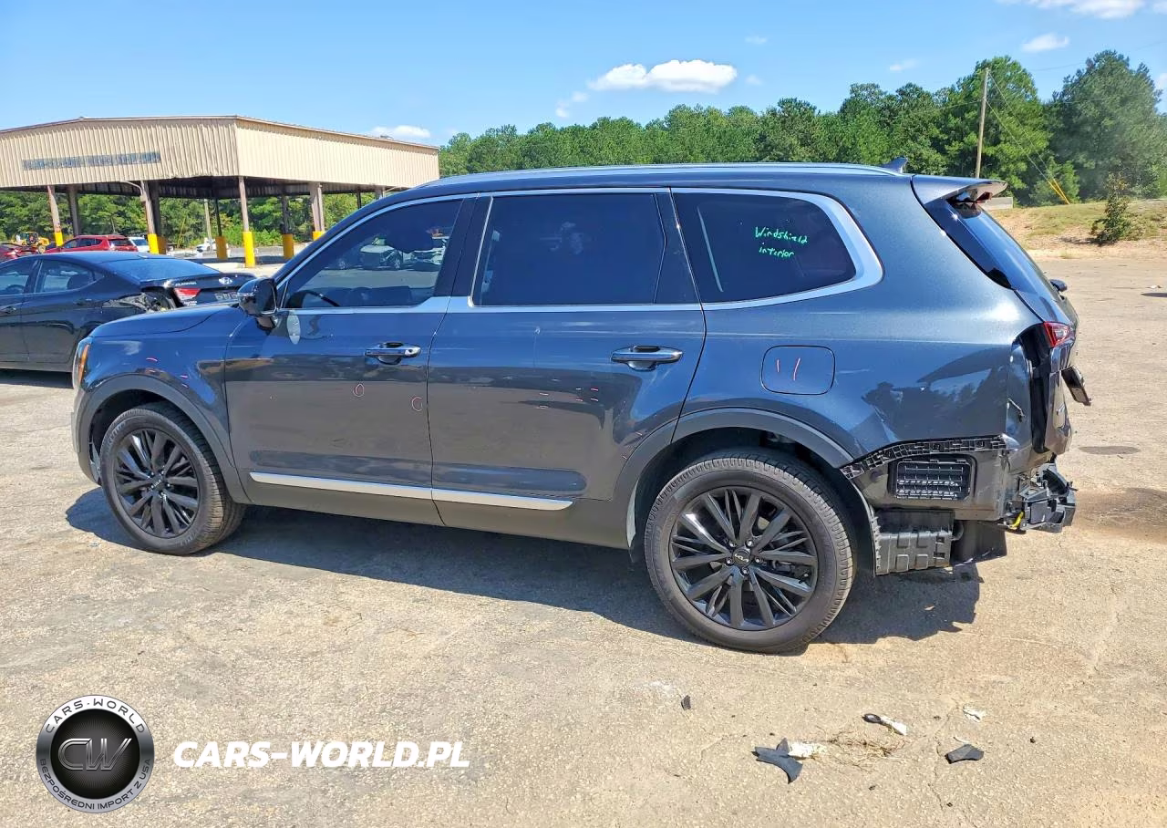 2022 Kia Telluride Sx VIN:5XYP5DHC0NG316506 - 2