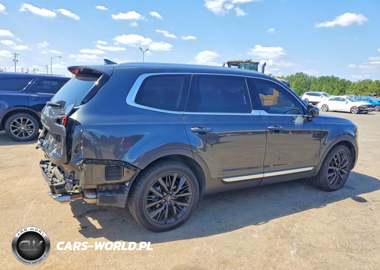 2022 Kia Telluride Sx VIN:5XYP5DHC0NG316506 - 3