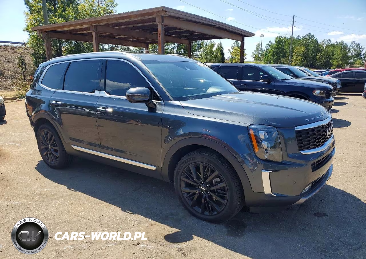 2022 Kia Telluride Sx VIN:5XYP5DHC0NG316506 - 4