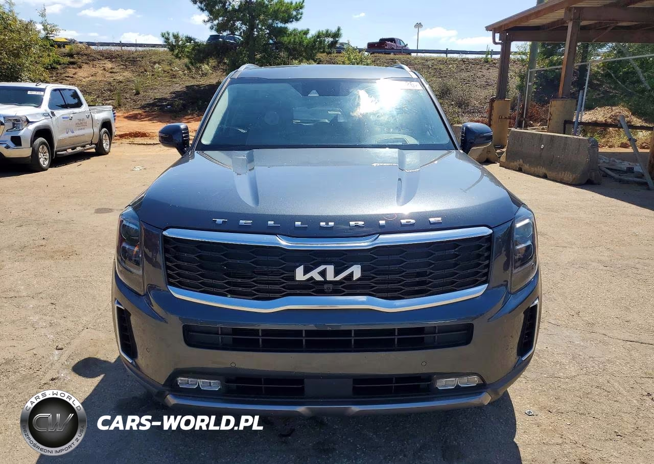 2022 Kia Telluride Sx VIN:5XYP5DHC0NG316506 - 5