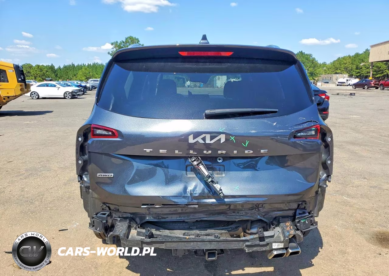 2022 Kia Telluride Sx VIN:5XYP5DHC0NG316506 - 6