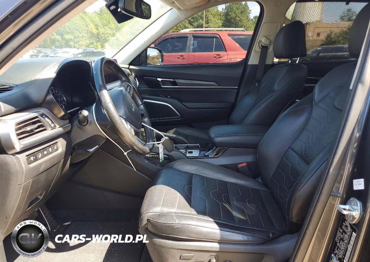 2022 Kia Telluride Sx VIN:5XYP5DHC0NG316506 - 7