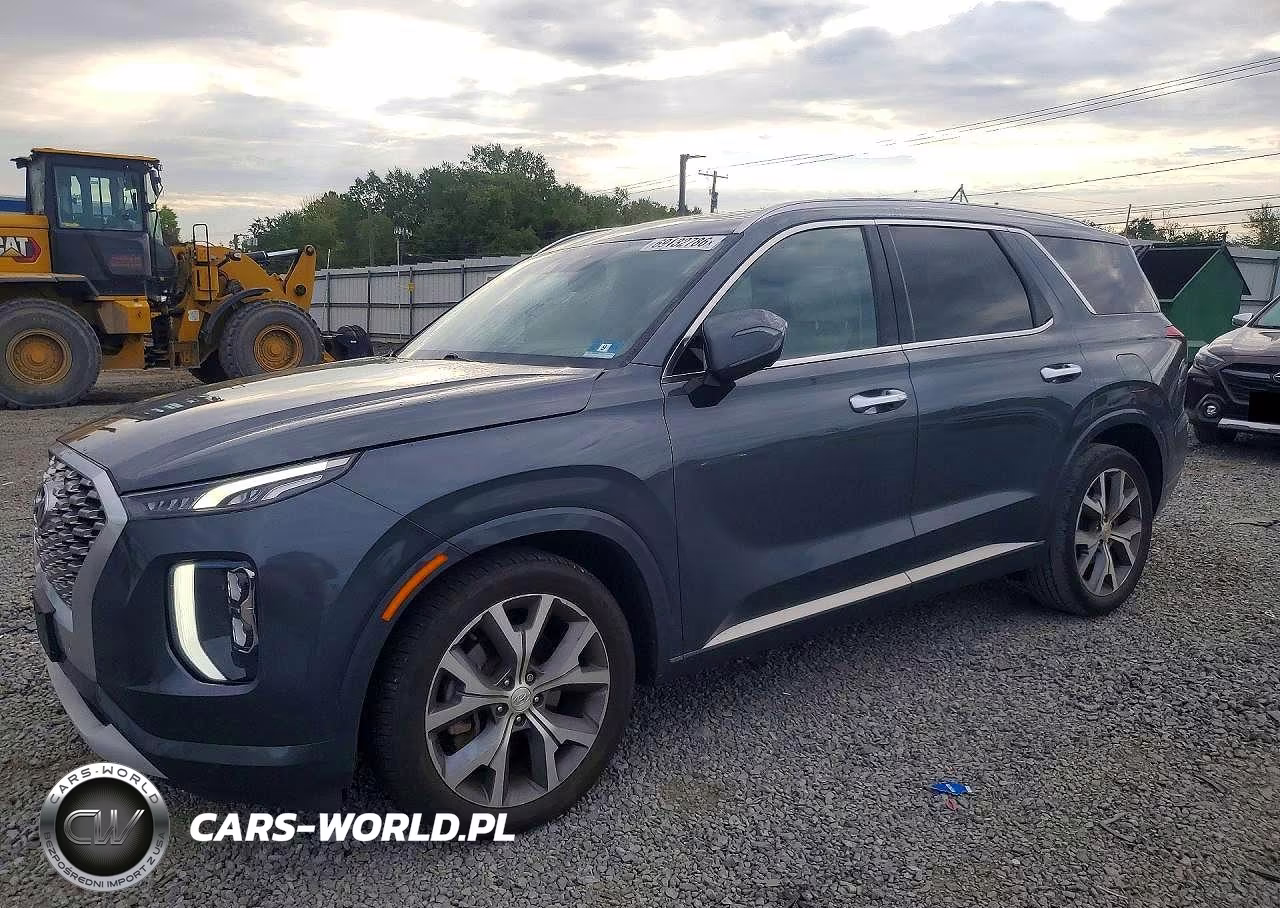 2021 Hyundai Palisade Limited VIN:KM8R5DHE8MU193461 - 1