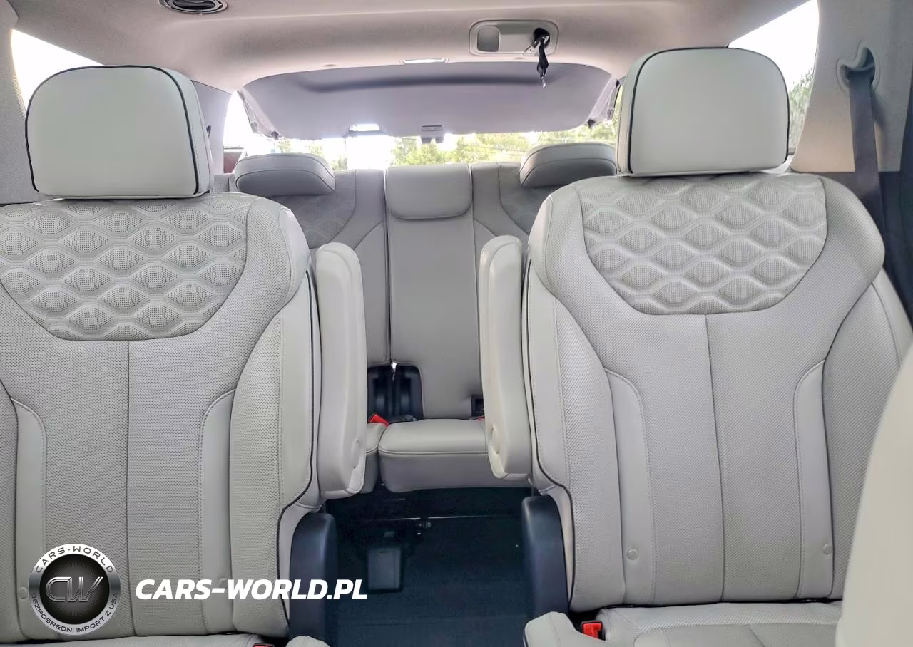 2021 Hyundai Palisade Limited VIN:KM8R5DHE8MU193461 - 10
