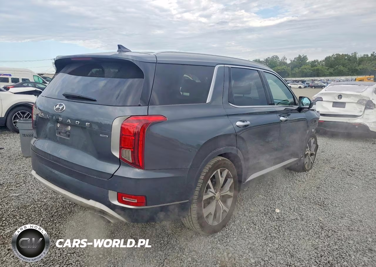 2021 Hyundai Palisade Limited VIN:KM8R5DHE8MU193461 - 3