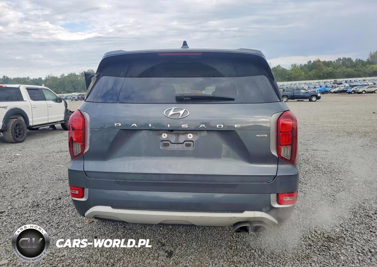 2021 Hyundai Palisade Limited VIN:KM8R5DHE8MU193461 - 6