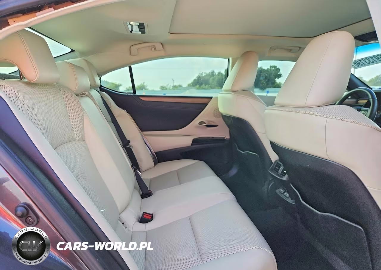 2023 Lexus Es 350 Base VIN:58ADZ1B10PU144030 - 10