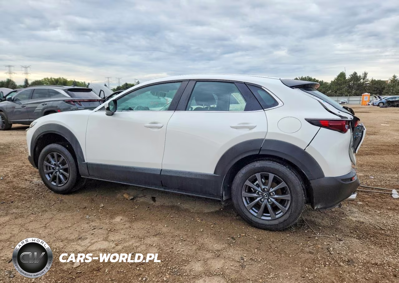 2023 Mazda Cx-30 VIN:3MVDMBAM8PM587508 - 2