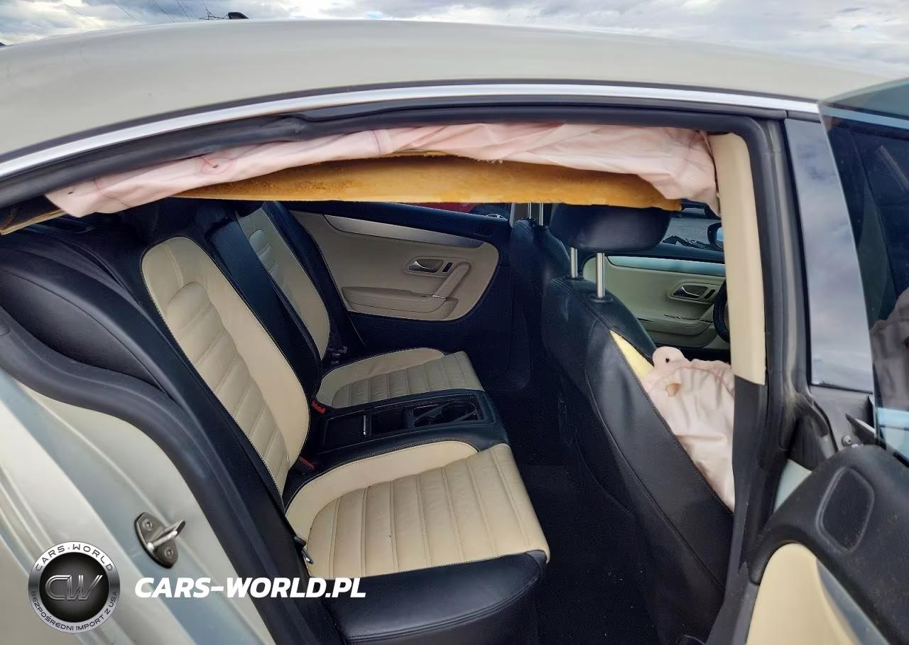 2009 Volkswagen Cc Luxury VIN:WVWHL73C09E513676 - 10