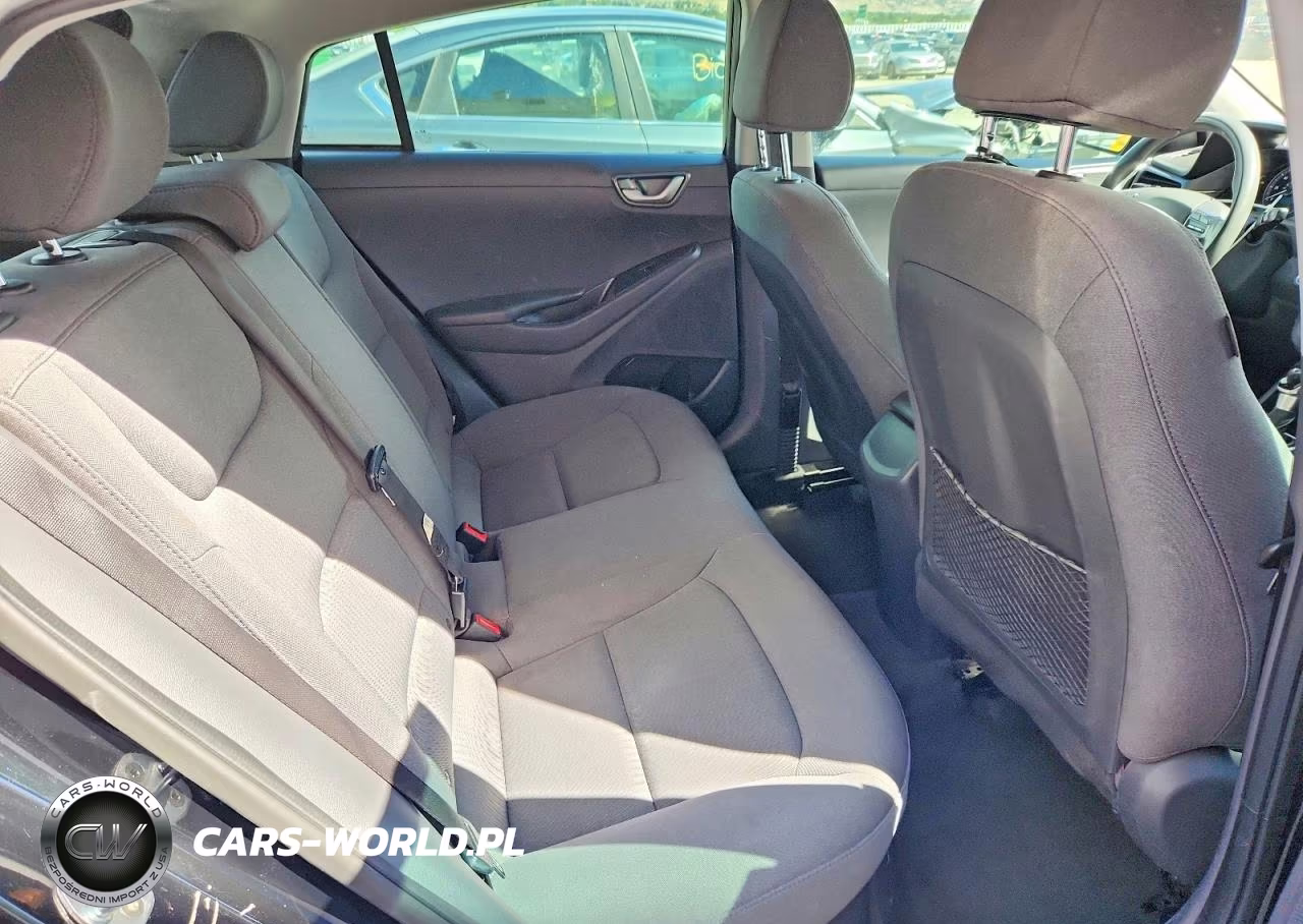 2020 Hyundai Ioniq Blue VIN:KMHC65LC3LU186320 - 10
