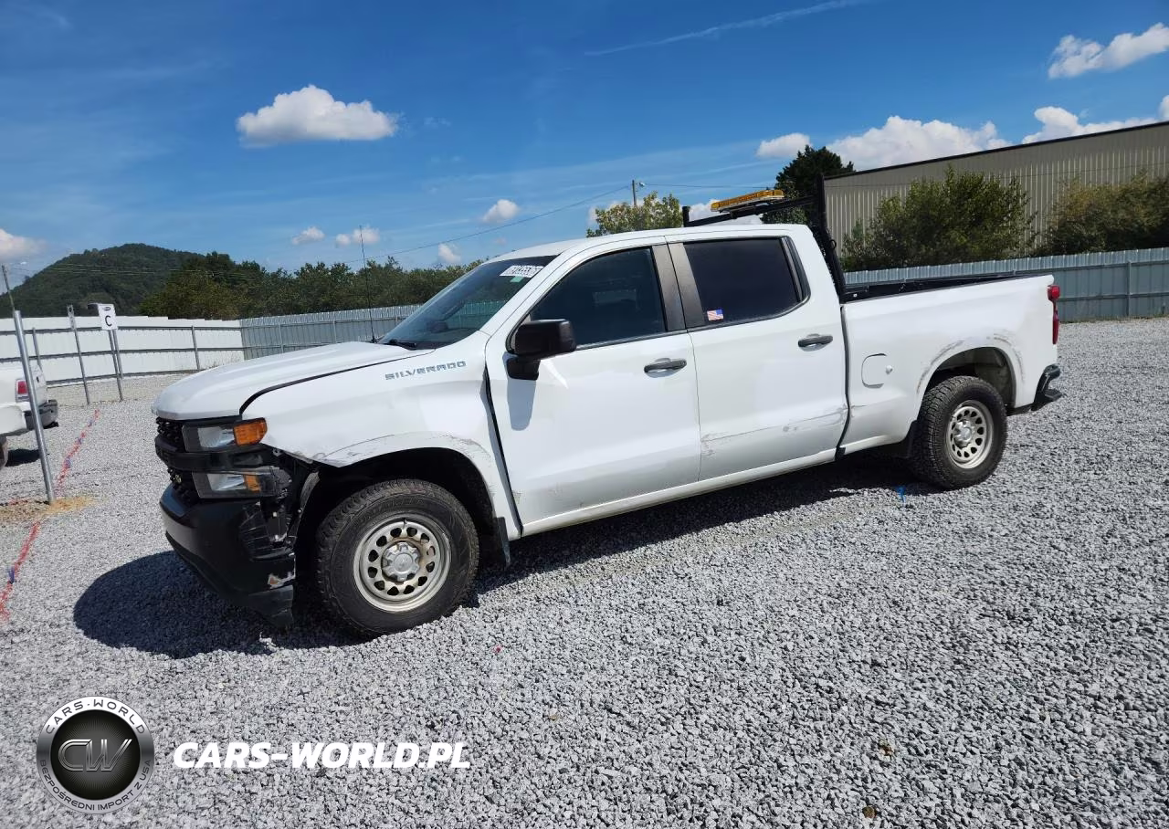 2020 Chevrolet Silverado C1500 VIN:1GCPWAEF9LZ145294 - 1