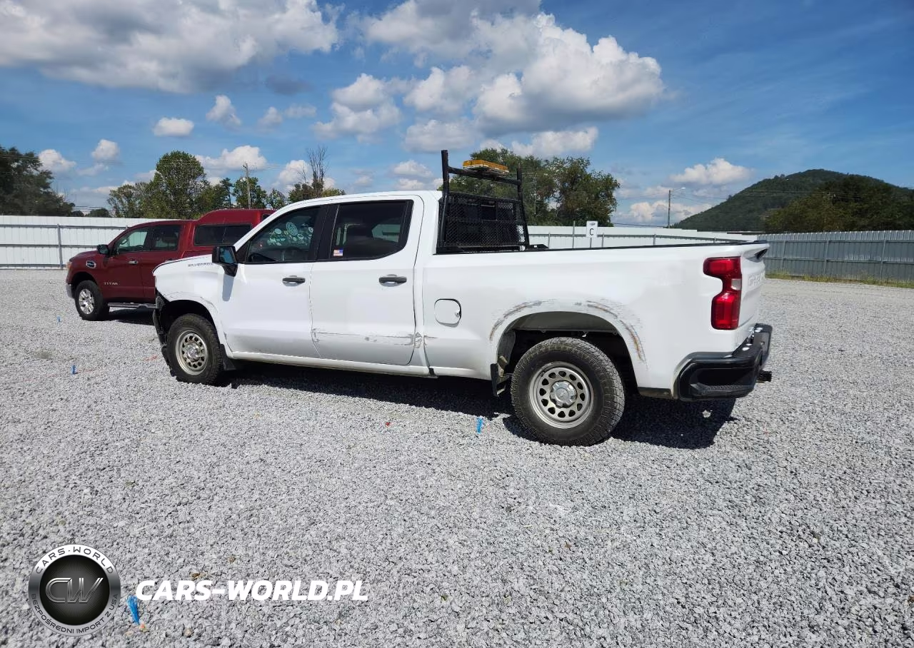 2020 Chevrolet Silverado C1500 VIN:1GCPWAEF9LZ145294 - 2