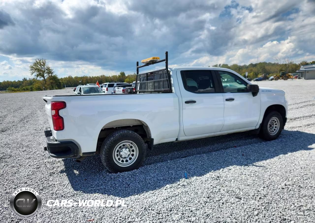 2020 Chevrolet Silverado C1500 VIN:1GCPWAEF9LZ145294 - 3