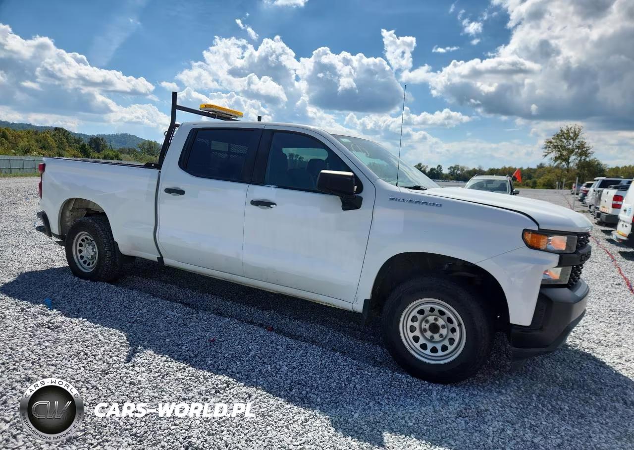2020 Chevrolet Silverado C1500 VIN:1GCPWAEF9LZ145294 - 4