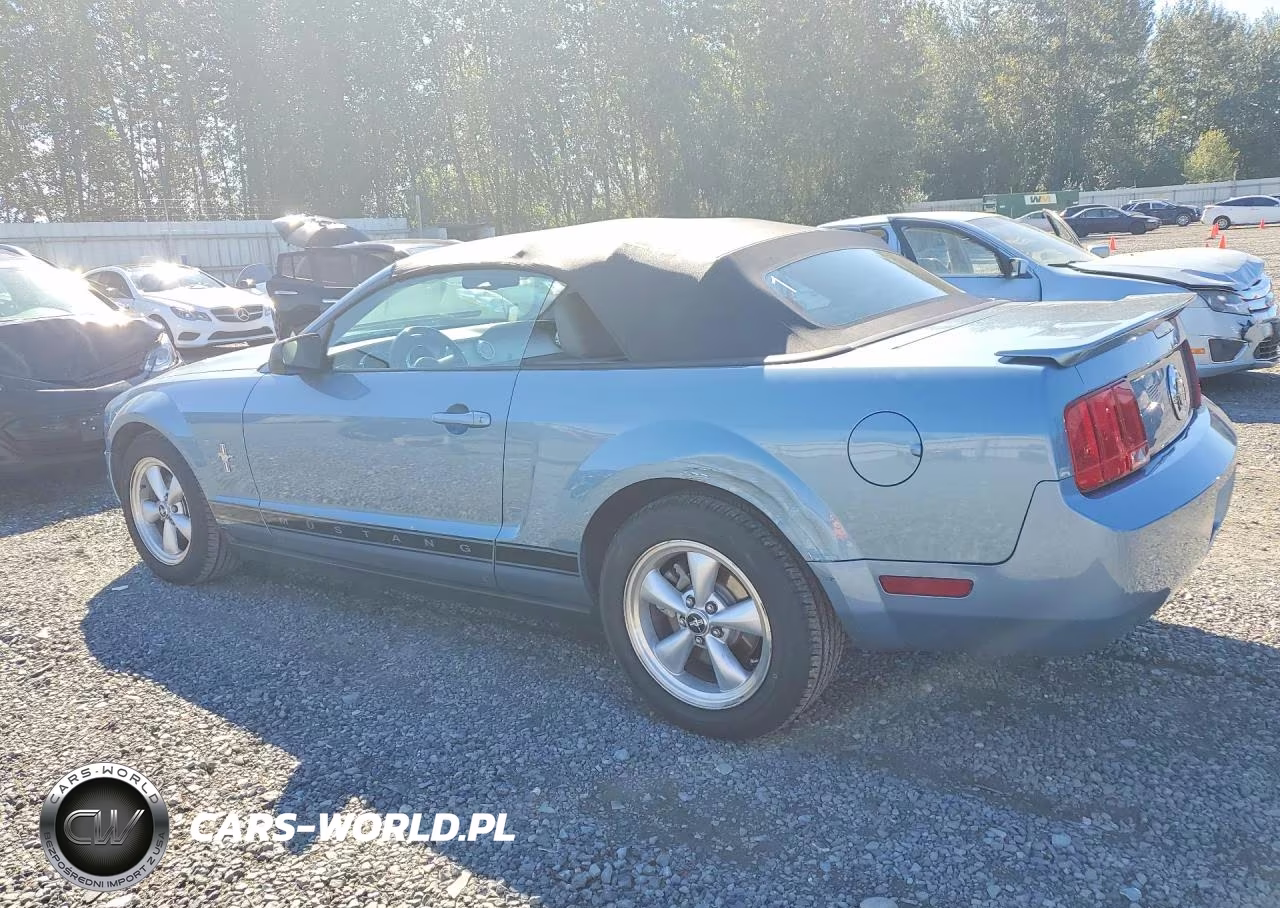 2007 Ford Mustang VIN:1ZVHT84N875364434 - 2