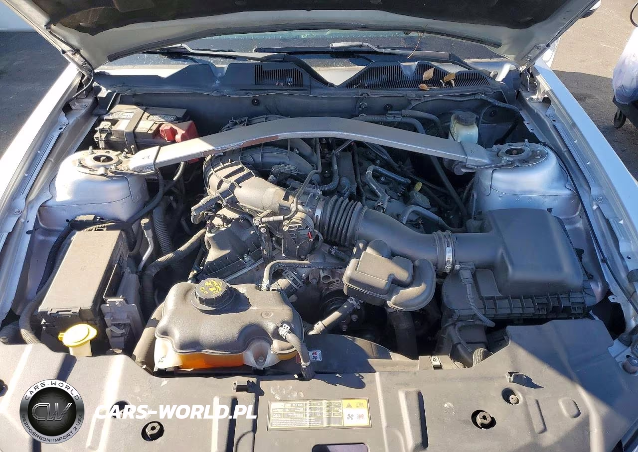 2014 Ford Mustang VIN:1ZVBP8EM0E5302491 - 11