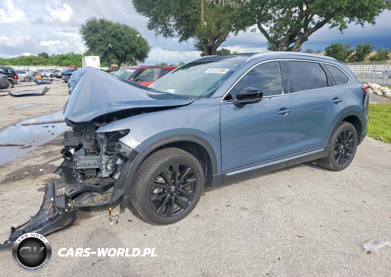 2023 Mazda Cx-9 Grand Touring VIN:JM3TCBDY1P0657343 - 1