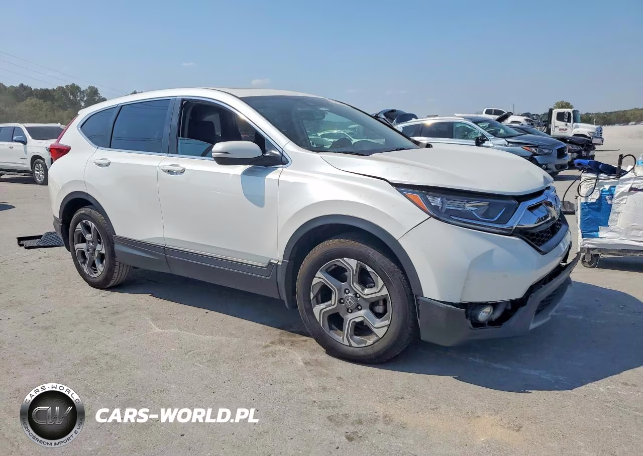 2019 Honda Cr-V Exl VIN:7FARW1H86KE038850 - 4