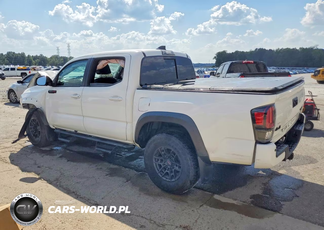 2020 Toyota Tacoma Trd Pro VIN:5TFCZ5AN0LX232782 - 2