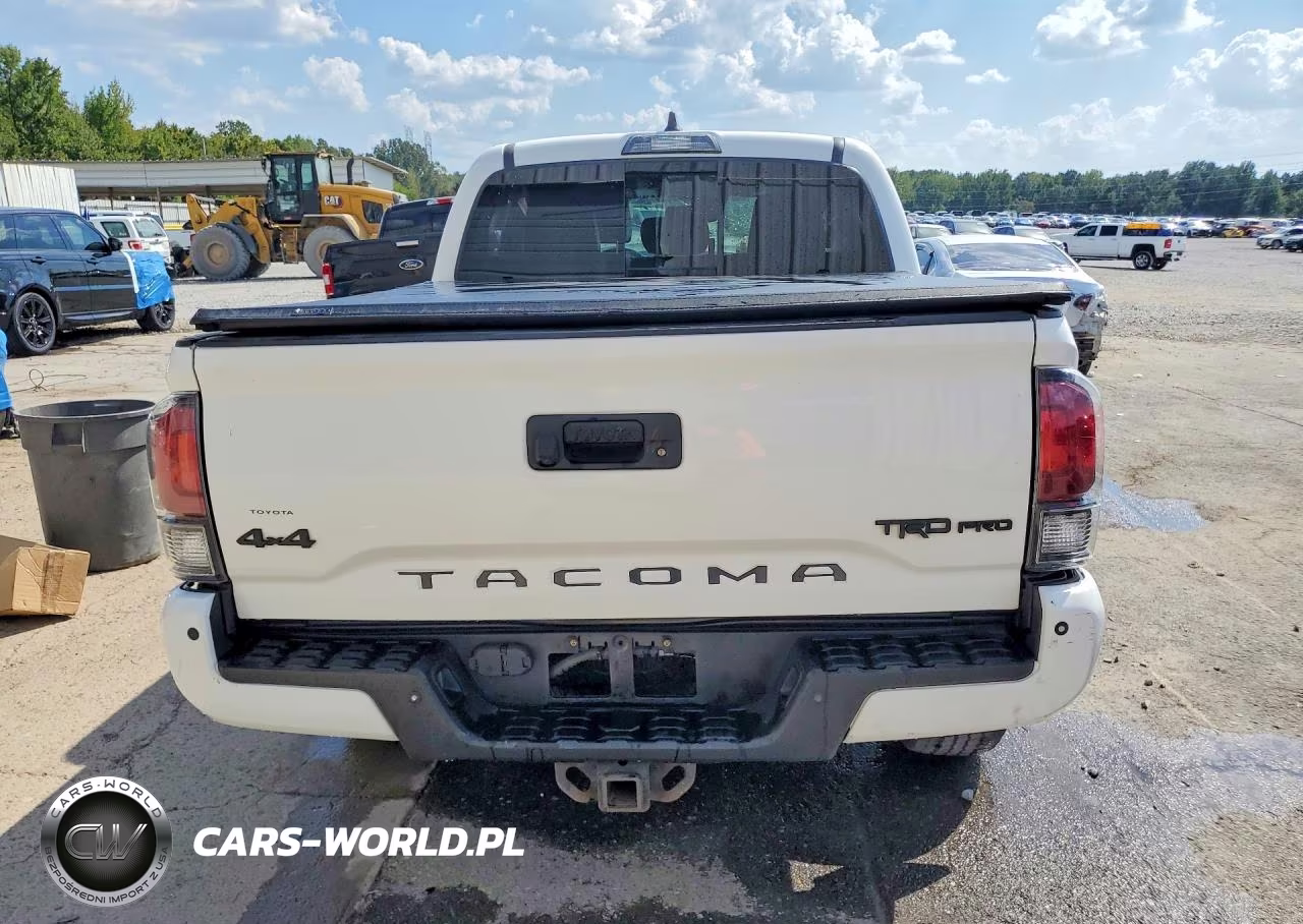 2020 Toyota Tacoma Trd Pro VIN:5TFCZ5AN0LX232782 - 6