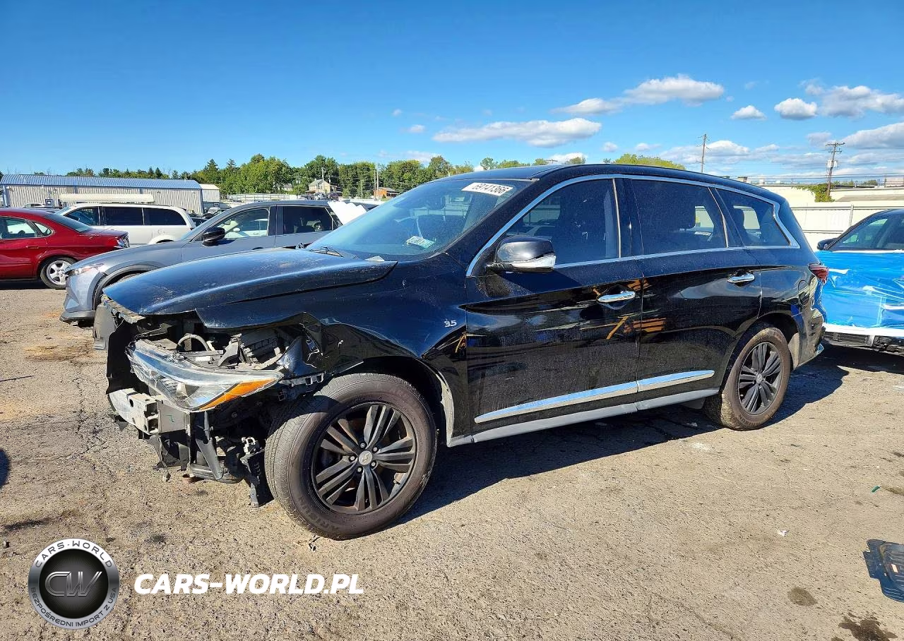 2020 Infiniti Qx60 Pure VIN:5N1DL0MM5LC510669 - 1