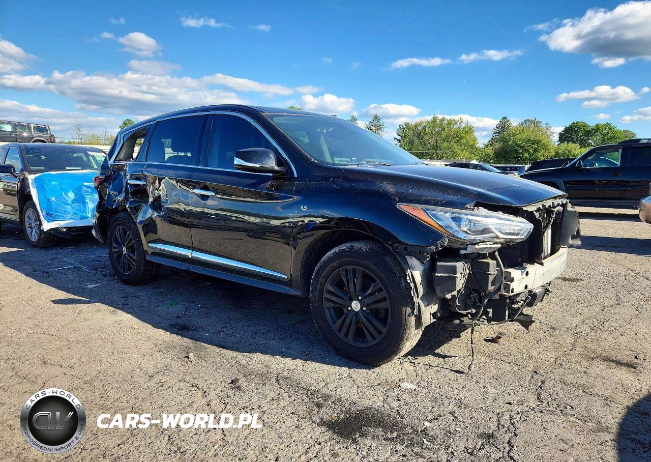 2020 Infiniti Qx60 Pure VIN:5N1DL0MM5LC510669 - 4