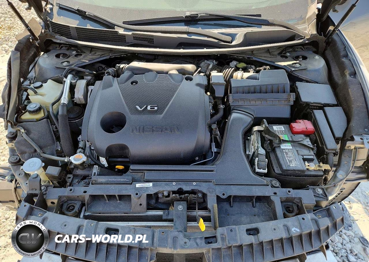 2020 Nissan Maxima Sr VIN:1N4AA6EV5LC381717 - 11