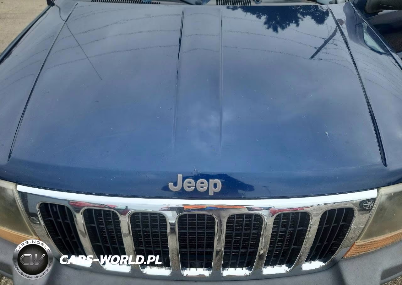 2002 Jeep Grand Cherokee Laredo VIN:1J4GW48S02C264275 - 12
