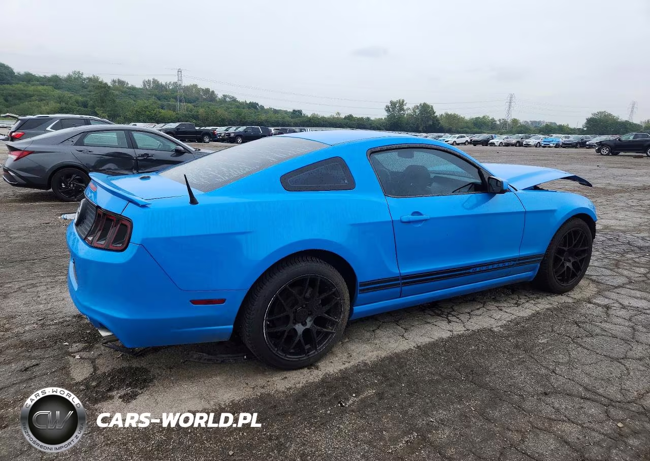2014 Ford Mustang VIN:1ZVBP8AM8E5202029 - 3
