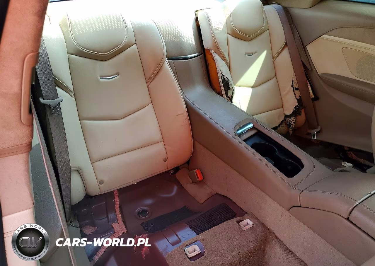 2014 Cadillac Elr Luxury VIN:1G6RR1E49EU600324 - 10