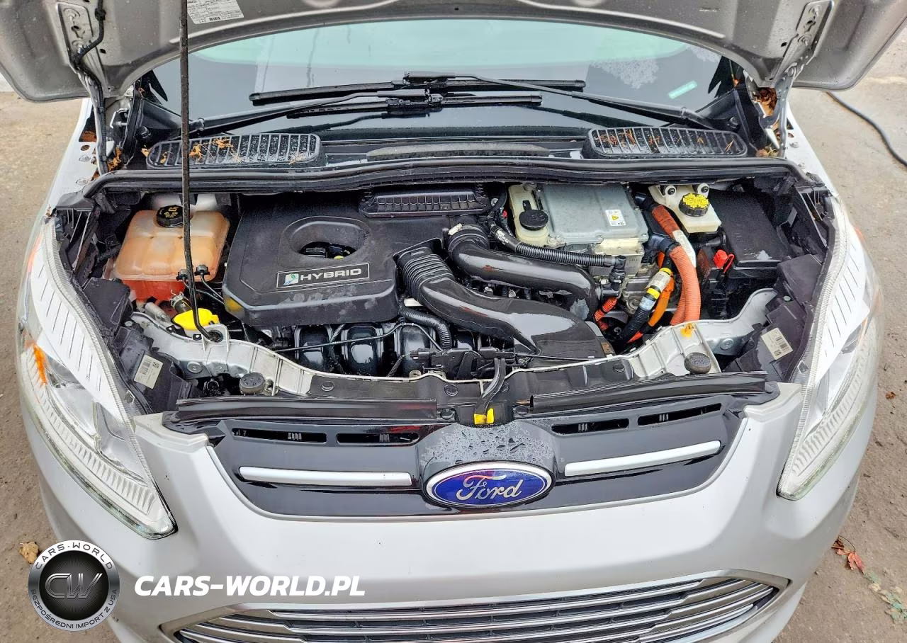 2018 Ford C-Max Titanium VIN:1FADP5DU3JL102910 - 12