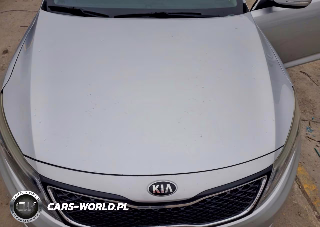 2015 Kia Optima Lx VIN:5XXGM4A74FG438002 - 11
