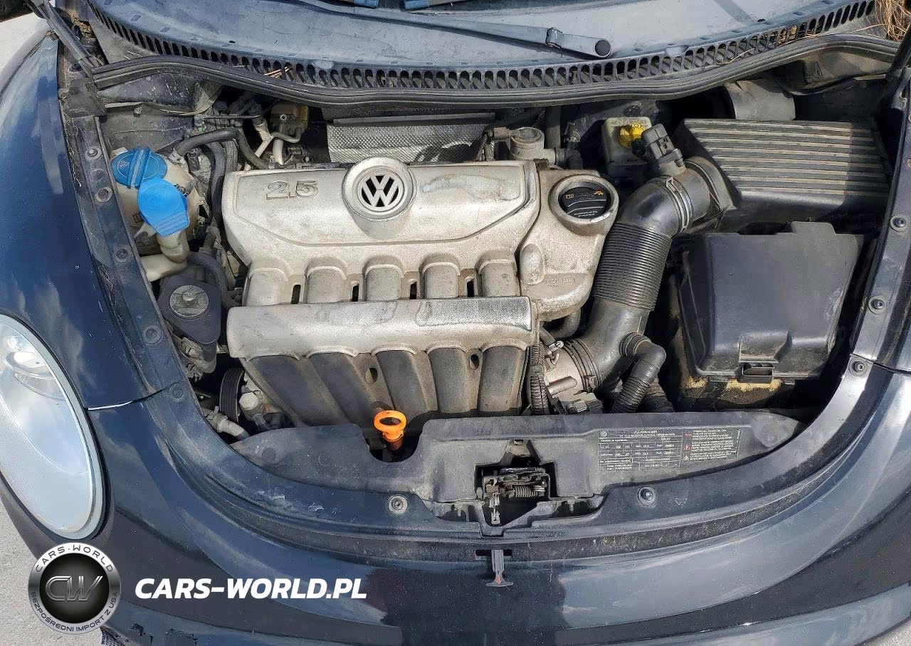 2010 Volkswagen New Beetle VIN:3VWPG3AG6AM035709 - 11