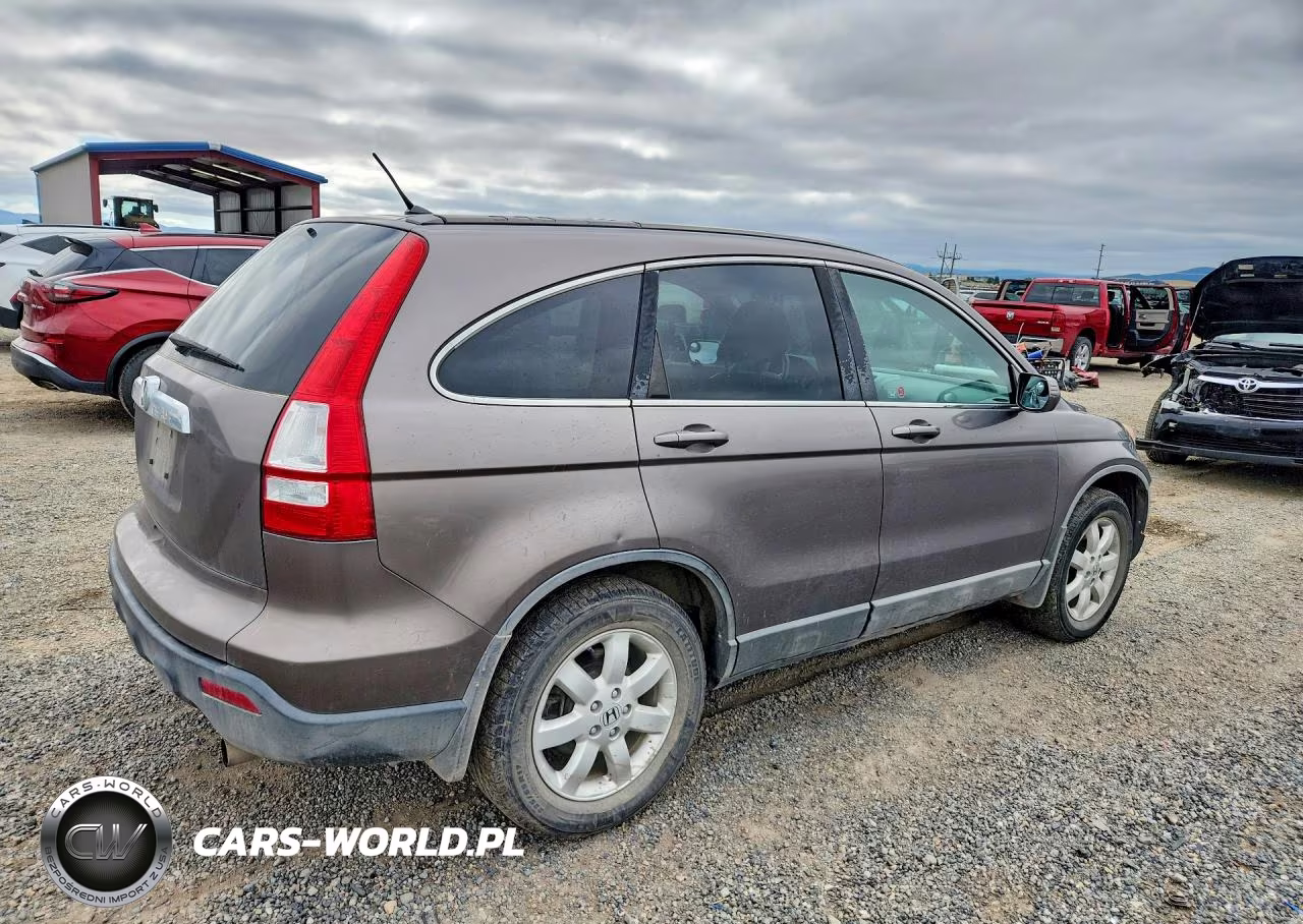 2009 Honda Cr-V Exl VIN:5J6RE48779L801029 - 3