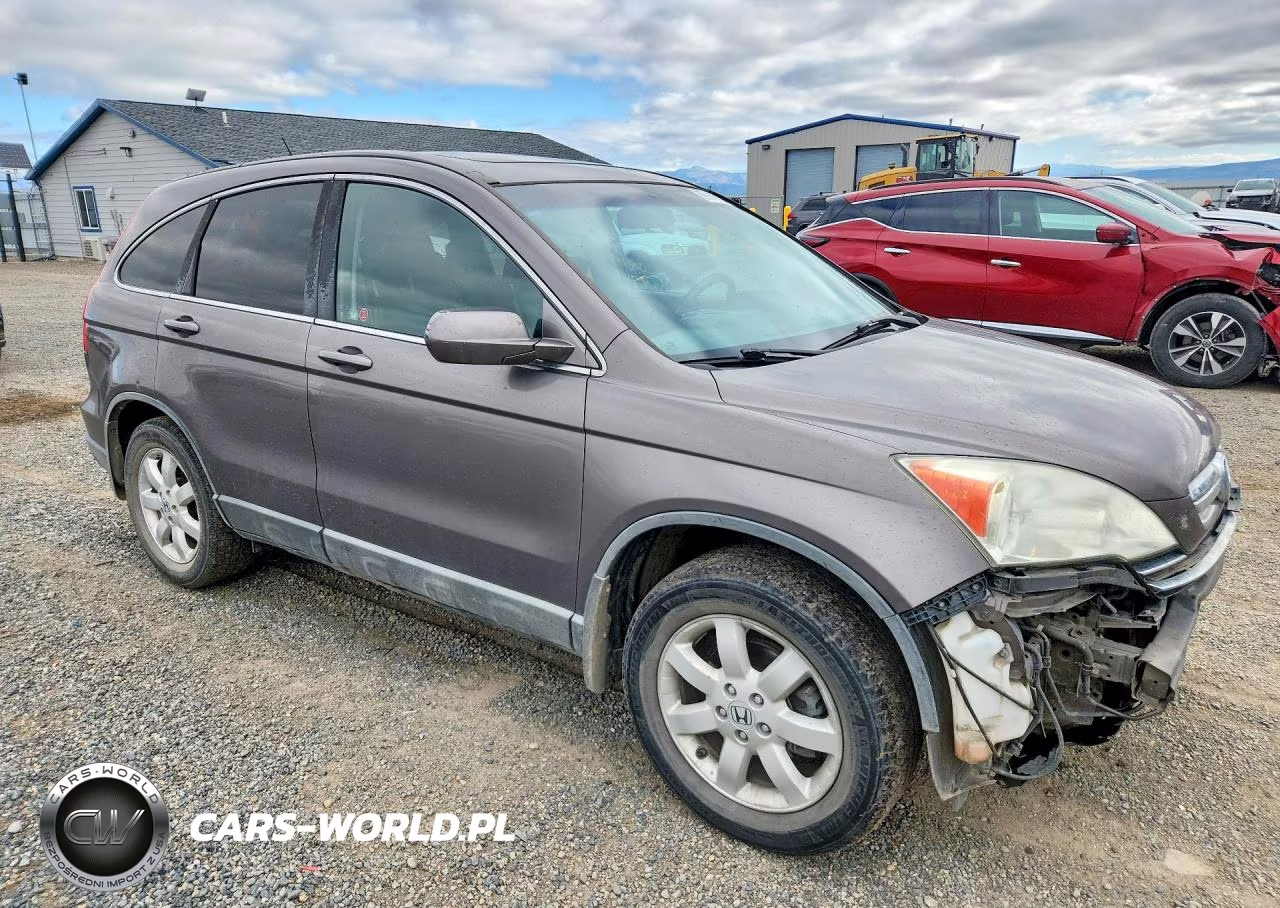 2009 Honda Cr-V Exl VIN:5J6RE48779L801029 - 4