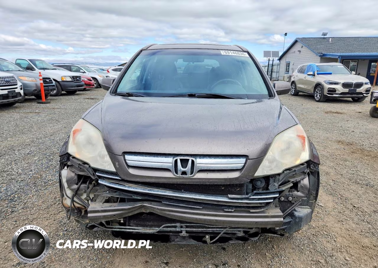 2009 Honda Cr-V Exl VIN:5J6RE48779L801029 - 5