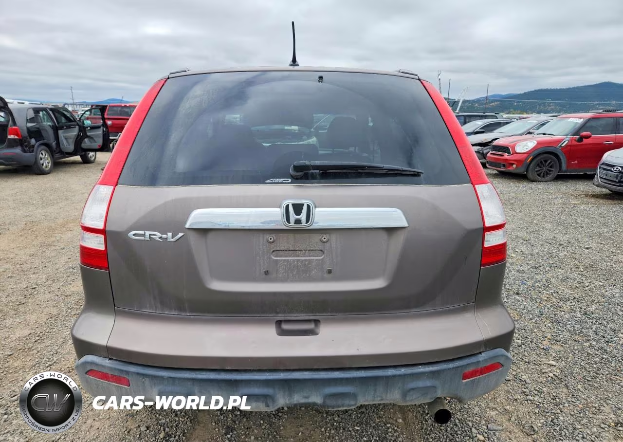 2009 Honda Cr-V Exl VIN:5J6RE48779L801029 - 6