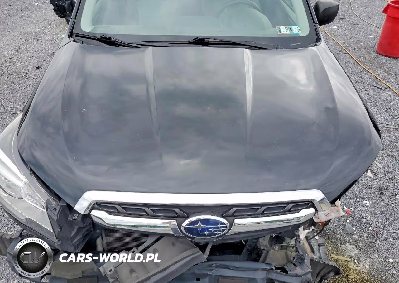 2017 Subaru Forester 2.5I VIN:JF2SJABC9HH528234 - 11