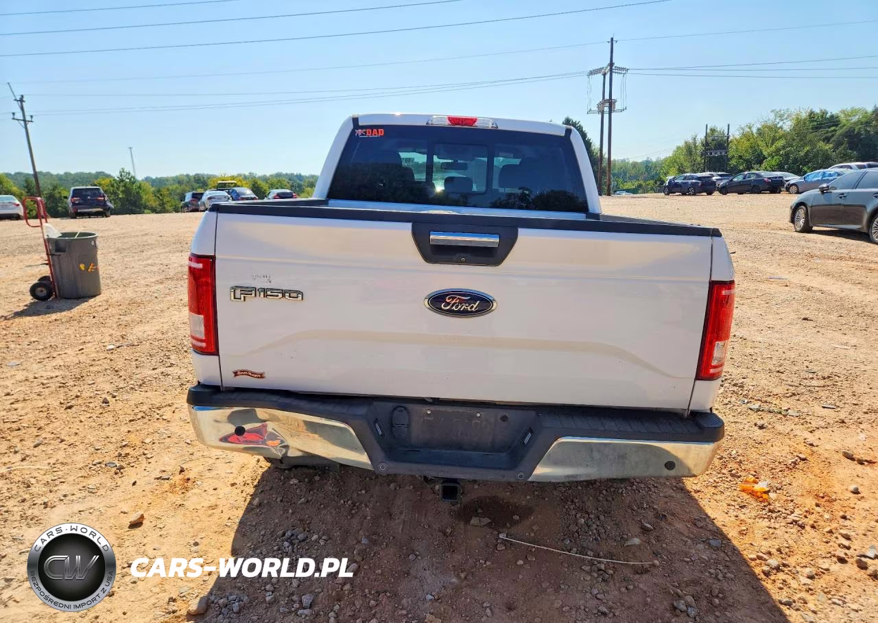 2015 Ford F150 Supercrew VIN:1FTEW1CP1FKE96930 - 6