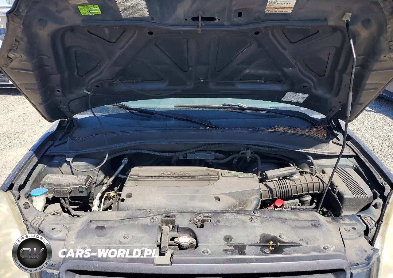 2004 Honda Pilot Exl VIN:2HKYF18534H571577 - 12