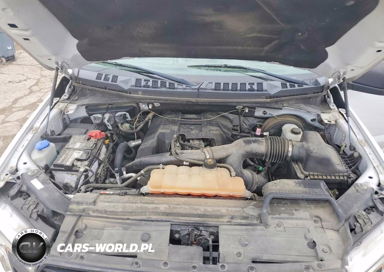2018 Ford F150 Supercrew VIN:1FTEW1CP5JFB60005 - 11