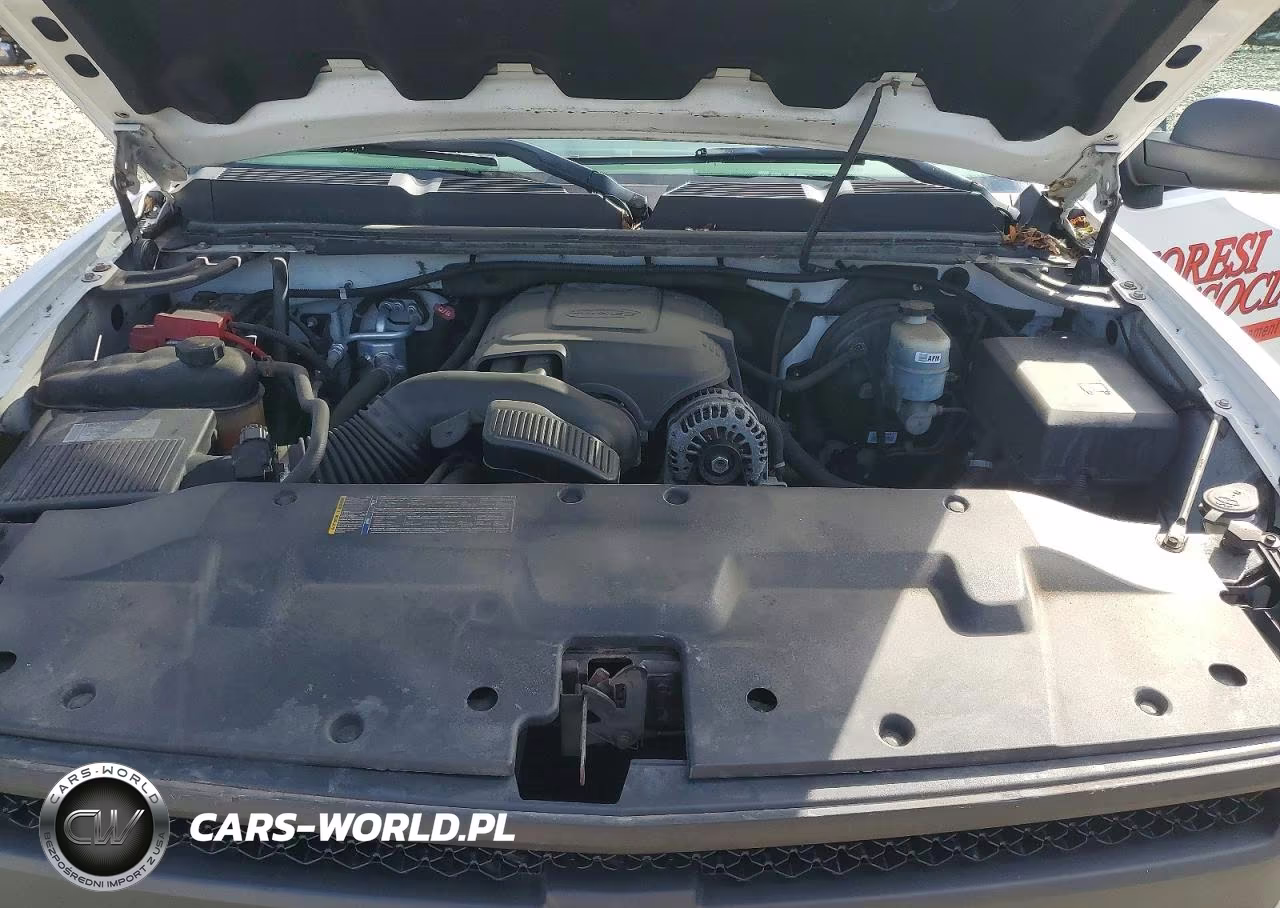 2010 Chevrolet Silverado K1500 VIN:1GCSKPEA7AZ131842 - 11