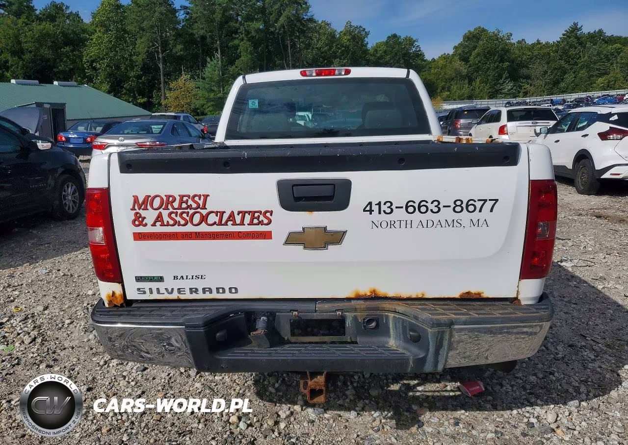 2010 Chevrolet Silverado K1500 VIN:1GCSKPEA7AZ131842 - 6