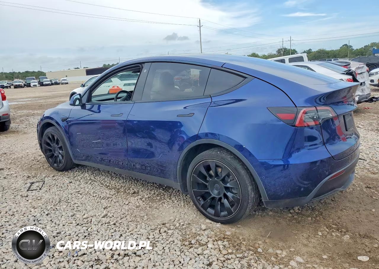 2022 Tesla Model Y VIN:7SAYGDEE2NF480824 - 2