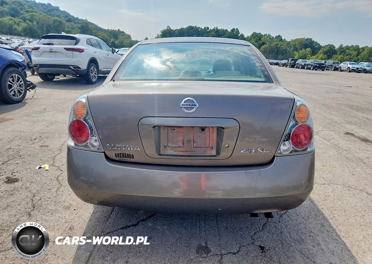 2003 Nissan Altima 2.5 S VIN:1N4AL11E93C288007 - 6
