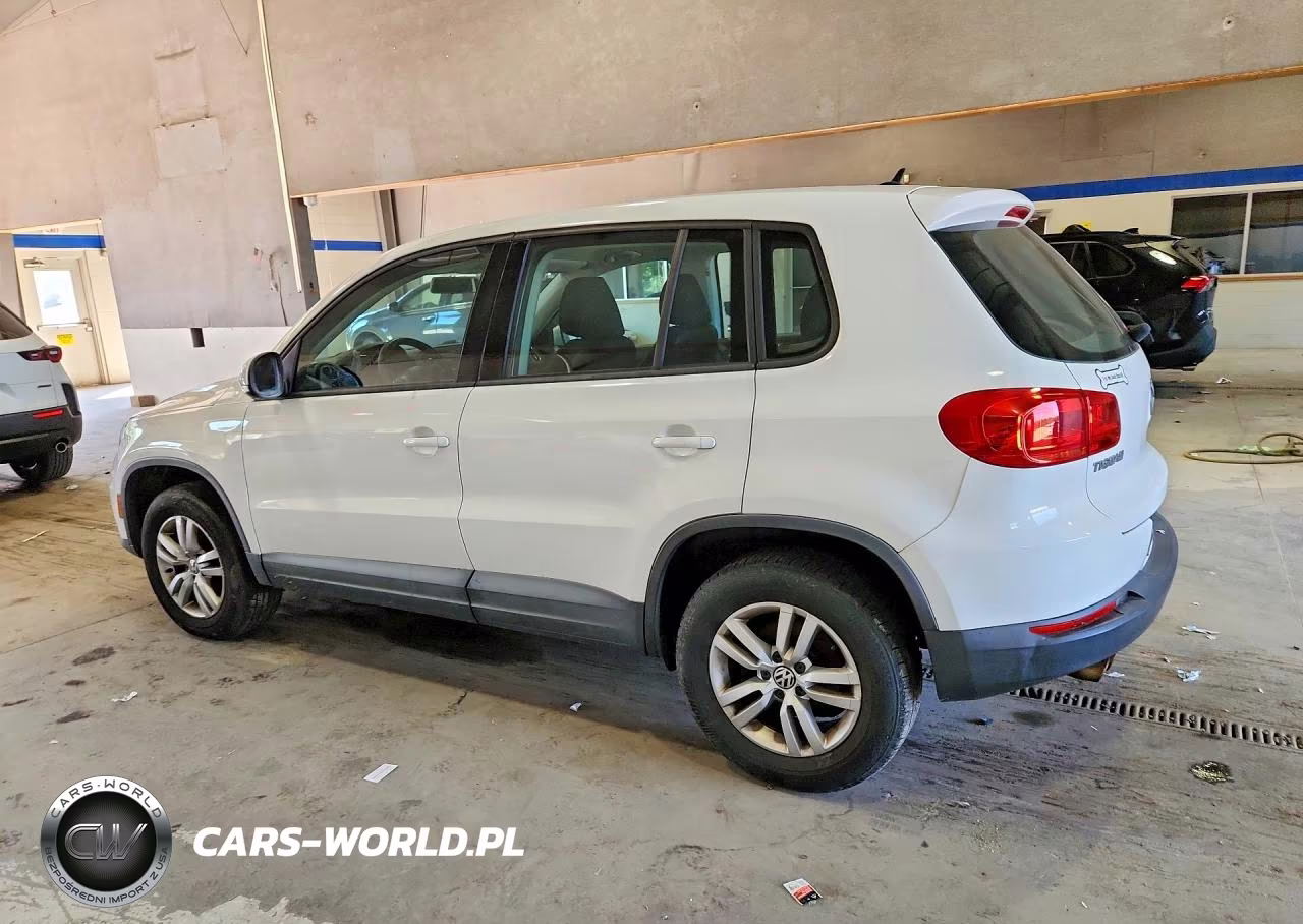 2013 Volkswagen Tiguan S VIN:WVGBV7AX3DW534123 - 2
