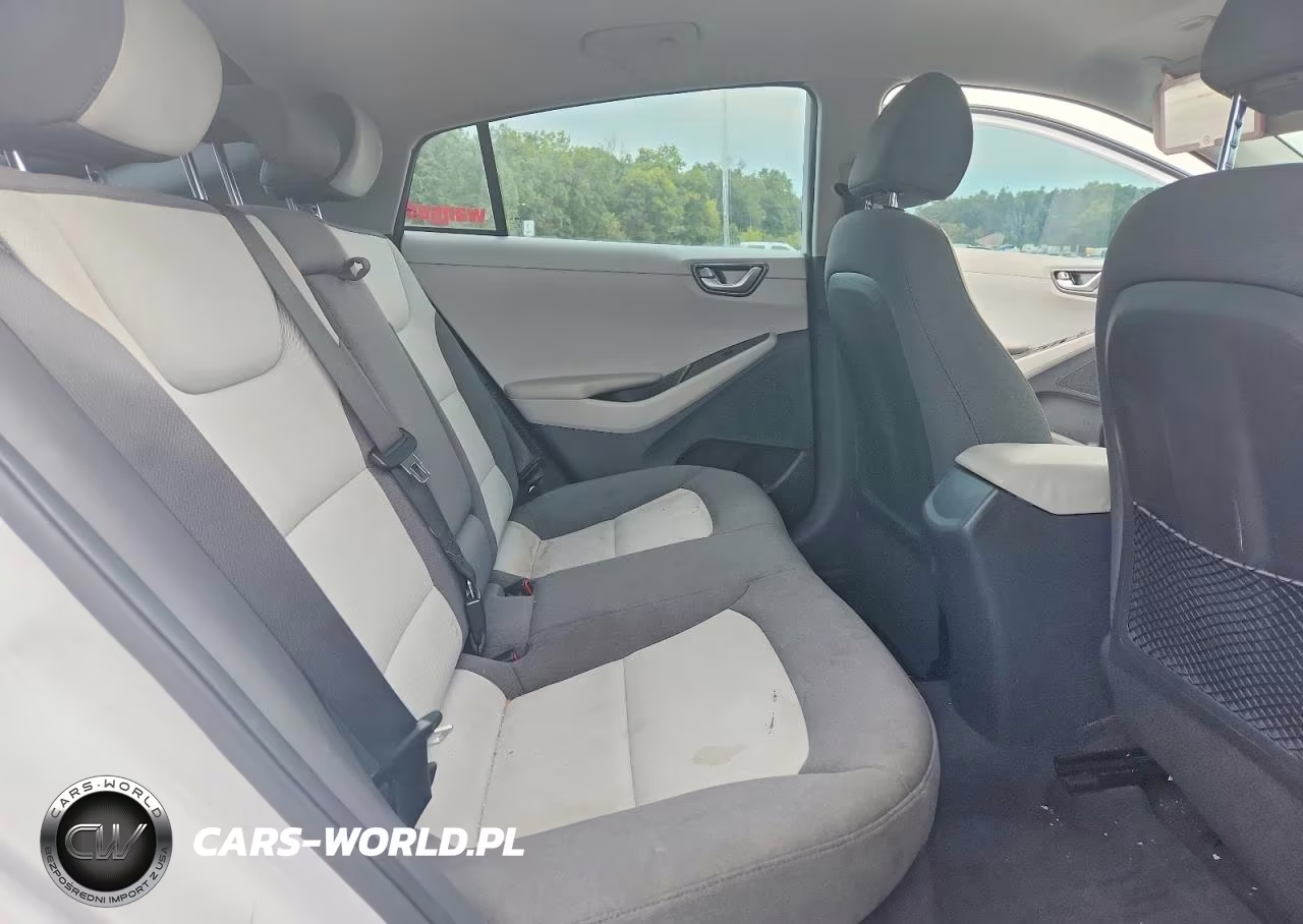 2020 Hyundai Ioniq Se VIN:KMHC65LD0LU217919 - 10